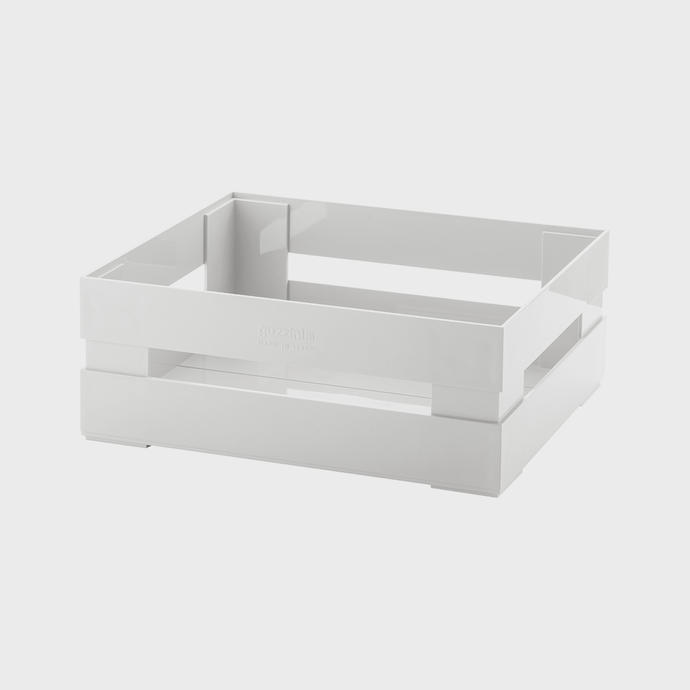 Cassetta L Tidy&Store